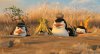 Penguins of Madagascar picture