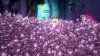 Pokemon the Movie: Diancie and the Cocoon of Destruction picture