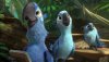 Rio 2 picture