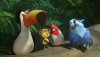 Rio 2 picture