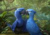 Rio 2 picture