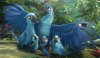 Rio 2 picture