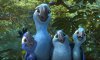 Rio 2 picture