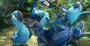 Rio 2 picture