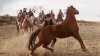 The Homesman picture