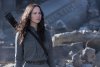 The Hunger Games: Mockingjay - Part 1 picture