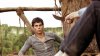 The Maze Runner picture