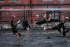 The Raid 2 picture