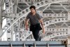 Tracers picture