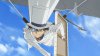 Detective Conan: Sunflowers of Inferno picture