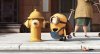 Minions picture