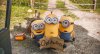 Minions picture