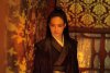 The Assassin picture