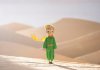 The Little Prince picture