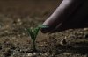 The Martian picture