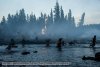 The Revenant picture