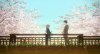 A Silent Voice picture