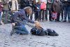 A Street Cat Named Bob picture