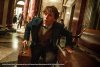 Fantastic Beasts and Where to Find Them picture