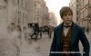 Fantastic Beasts and Where to Find Them picture