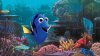 Finding Dory picture