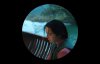 I Am Not Madame Bovary picture