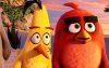 The Angry Birds Movie picture