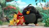 The Angry Birds Movie picture