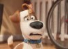 The Secret Life of Pets picture