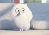 The Secret Life of Pets picture