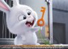 The Secret Life of Pets picture