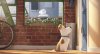 The Secret Life of Pets picture