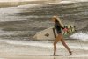The Shallows picture