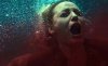 The Shallows picture