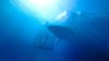 47 Meters Down picture