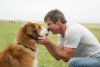 A Dog's Purpose picture