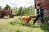 A Dog's Purpose picture