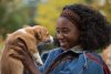 A Dog's Purpose picture