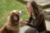 A Dog's Purpose picture