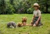 Goodbye Christopher Robin picture