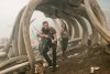 Kong: Skull Island picture