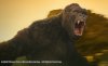 Kong: Skull Island picture