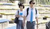 Sagrada Reset picture