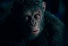 War for the Planet of the Apes picture