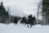 War for the Planet of the Apes picture