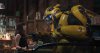 Bumblebee picture