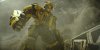 Bumblebee picture