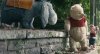 Christopher Robin picture