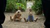 Peter Rabbit picture