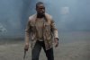 The Predator picture